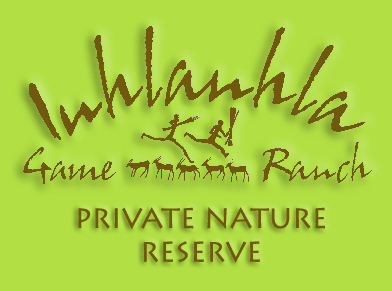 Inhlanhla Game Ranch | South Africa